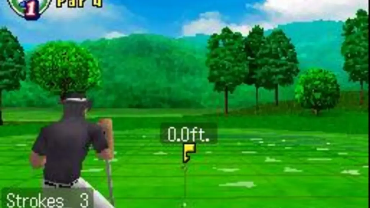 True Swing Golf