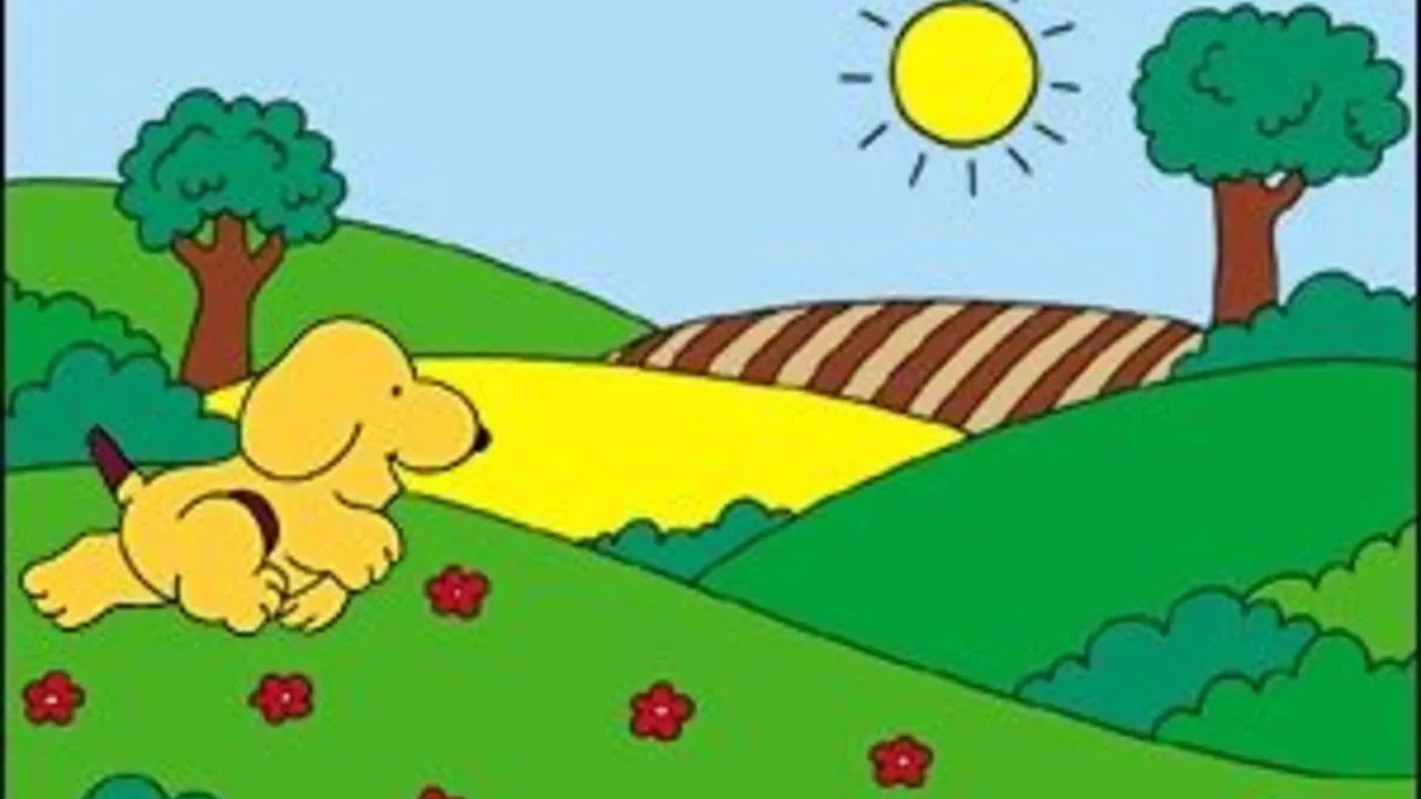 Spot's Busy Day