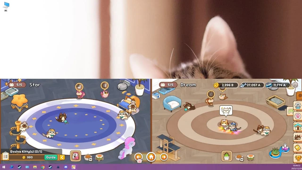 Meowniverse