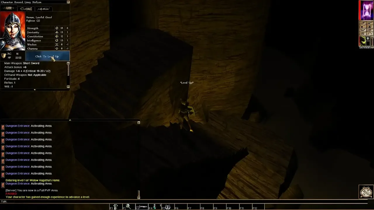 Neverwinter Nights: Infinite Dungeons