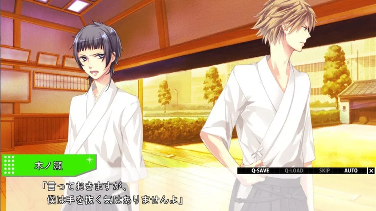 Starry Sky: in Summer Portable