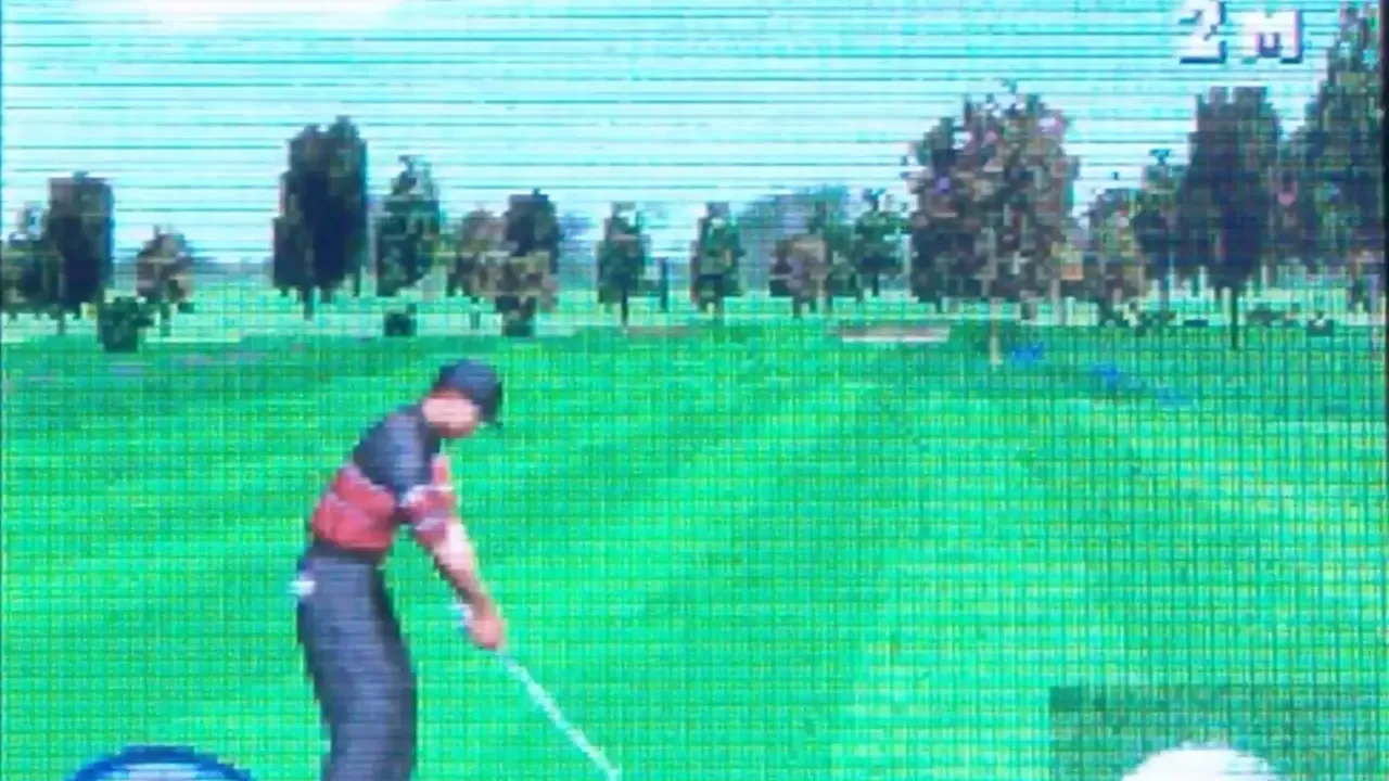 Tiger Woods PGA Tour 2004