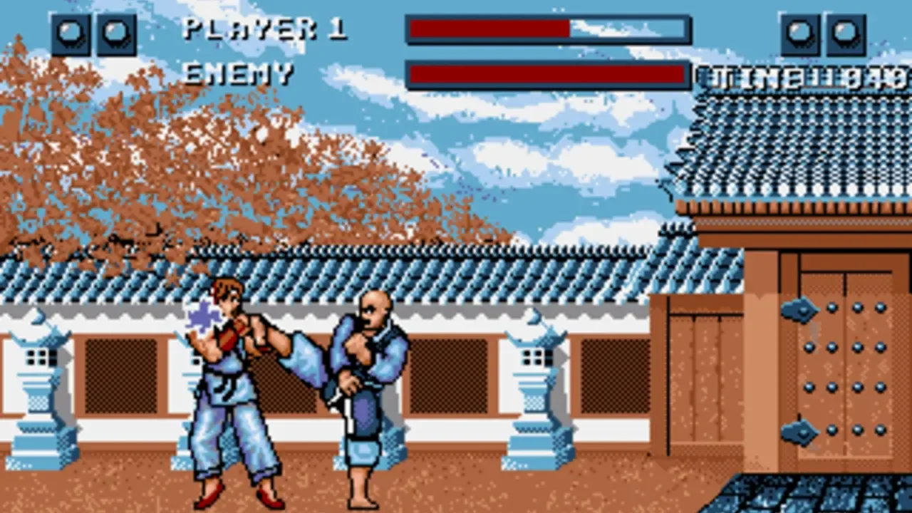 Street Fighter