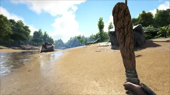 Screenshot 13