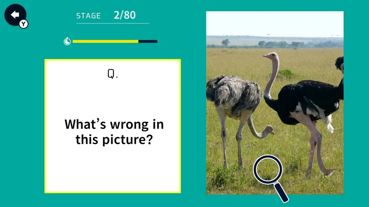 Snapshot Oddities! Find What's Wrong