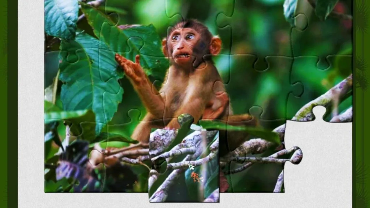 1001 Jigsaw: Wild Animals