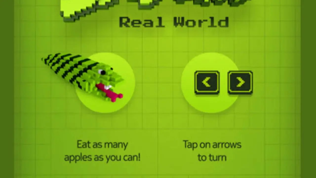 Snake Real World