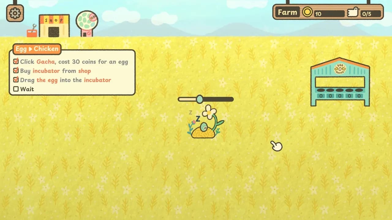 Egg Chicken Farm