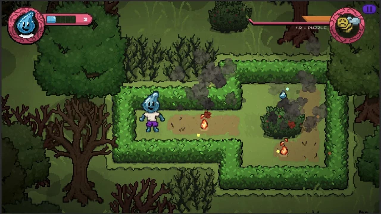 Drop: Save the Forest