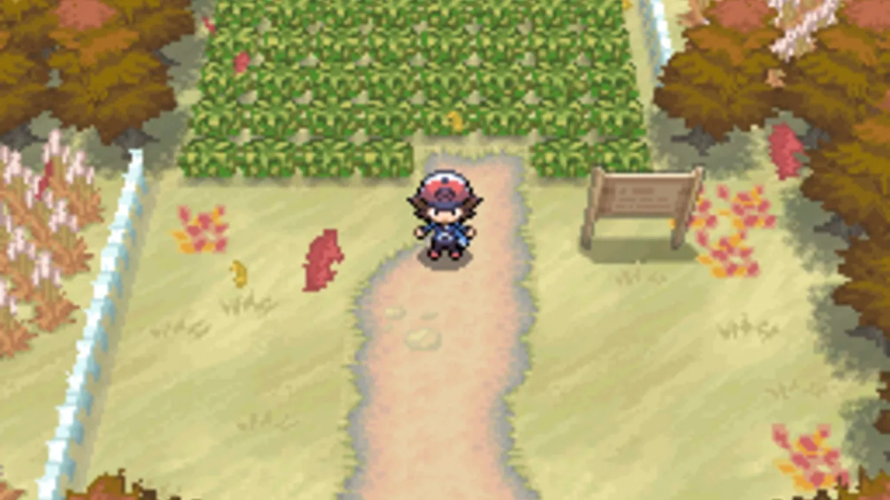 Pokémon Black Version