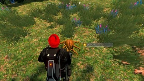 Screenshot 14